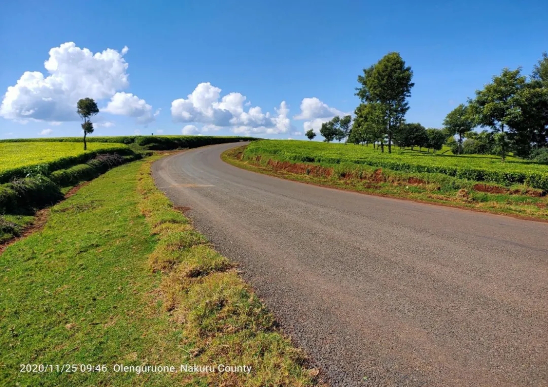 1609405982275016.jpg 640.webp (1).jpg