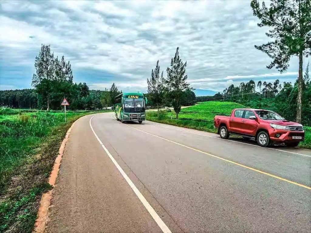 1609406496825263.jpg 640.webp (4).jpg