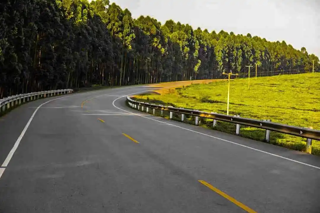 1609406505158055.jpg 640.webp (5).jpg