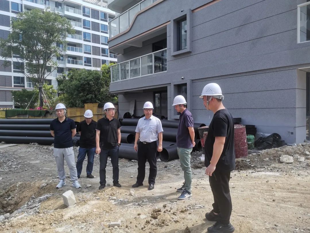 1690534564790622.jpg 1690534564790622.jpg