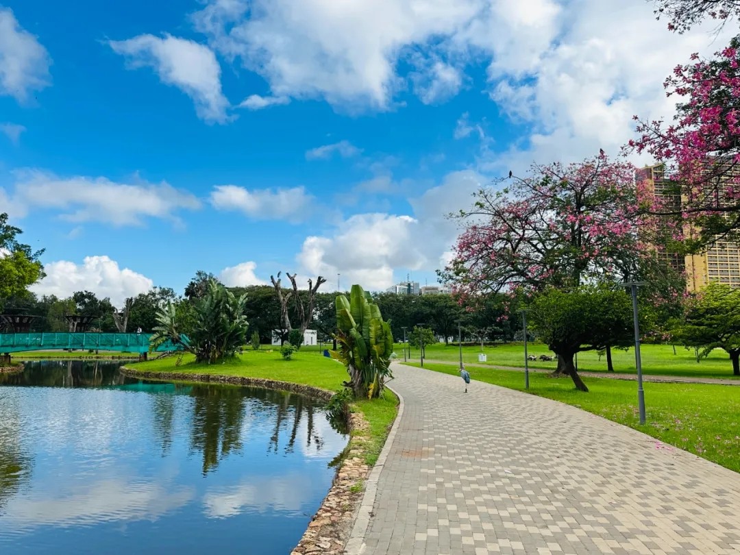 1725871709754949.jpg 1725871709754949.jpg