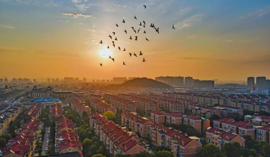 1730185725329236.jpg 1730185725329236.jpg