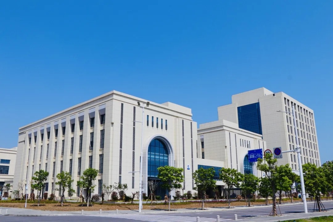 1739778013474253.jpg 1739778013474253.jpg